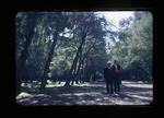 Park, cedar trees, Lake Xochimilco by Haven L. Miller