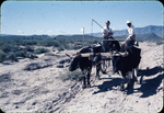 Two men driving ox cart by Haven L. Miller