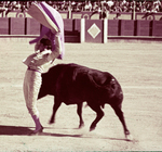 The bullfighter - Gran farol by Haven L. Miller