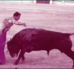 The bullfighter - Estocada by Haven L. Miller