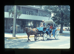 horse-drawn carriage on a city street by Haven L. Miller