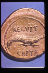 Roman Commemorative Coin by Everett Ferguson