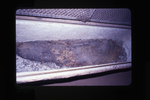 Sarcophagus with Body by Everett Ferguson