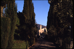 Approach to San Damiano by Everett Ferguson