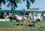 1958 Pony Cart by Northeastern Christian Junior College