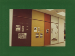 Brown Library Pictures